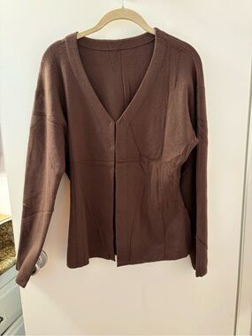 Classic V-Neck Brown Women’s Sweater Medium NWT